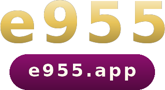 e955 logo